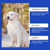 Pet Dog Joint Supplement To Enhance Nutrition Care Joint Health Pet Joint Care Agent