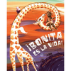 ¡Bonita Es La Vida! (Life Is Beautiful!) - Hardcover