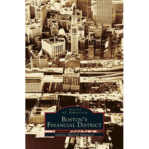 Boston's Financial District - Hardcover