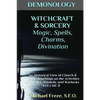 DEMONOLOGY WITCHCRAFT & SORCERY Magic, Spells, & Divination: An Historical View - Paperback