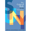 The Critical Ihde - Hardcover