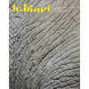 Cabinet 66 - Paperback