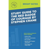 Study Guide to The Red Badge of Courage by Stephen Crane - Paperback