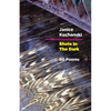 Shots in the Dark: Eighty Poems - Paperback