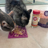Lick Mats for Cats and Small Dogs