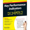 Key Performance Indicators for Dummies - Paperback