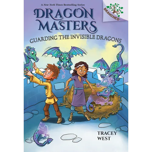 Guarding the Invisible Dragons: A Branches Book (Dragon Masters #22): Volume 22 - Hardcover