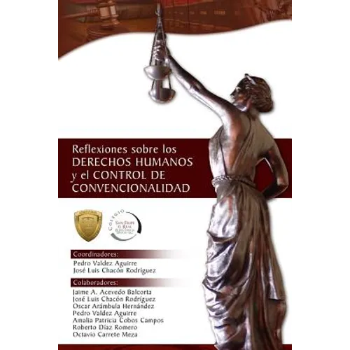 Reflexiones Sobre Los Derechos Humanos y El Control de Convencionalidad - Paperback