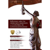 Reflexiones Sobre Los Derechos Humanos y El Control de Convencionalidad - Paperback