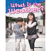 What Is the Weather? - Paperback