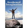 Awakened Imagination - Hardcover