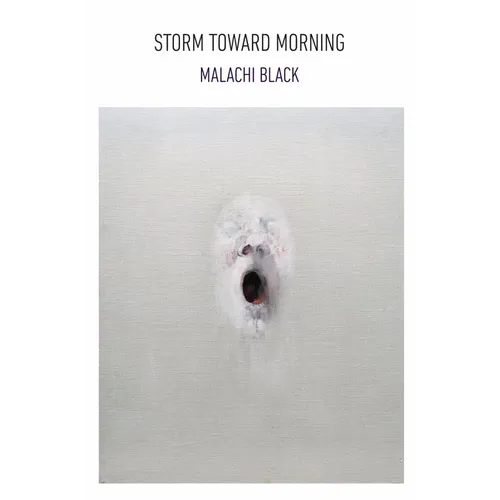 Storm Toward Morning - Paperback