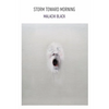 Storm Toward Morning - Paperback