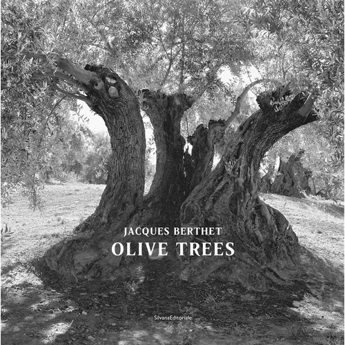 Jacques Berthet: Olive Trees - Hardcover