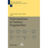 Deformations of Surface Singularities - Paperback