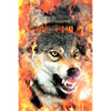 Death Stalks the Fire Child - Paperback