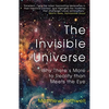 The Invisible Universe: Why There's More to Reality Than Meets the Eye - Paperback