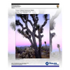 Visitor Vehicle Emissions Study: Joshua Tree National Park- Final Report - Paperback