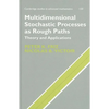 Multidimensional Stochastic Processes as Rough Paths - Hardcover