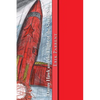 Danny Hawk and the Flight of the Scarlet Star - Paperback