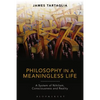 Philosophy in a Meaningless Life: A System of Nihilism, Consciousness and Reality - Paperback
