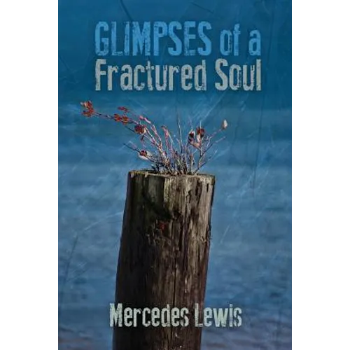Glimpses of a Fractured Soul - Paperback