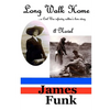 Long Walk Home ...a Civil War infantry soldier's love story - Paperback