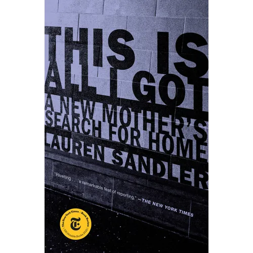This Is All I Got: A New Mother's Search for Home - Paperback