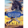 Mustang Moon - Hardcover