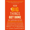 How Big Things Get Done: The Surprising Factors That Determine the Fate of Every Project, from Home Renovations to Space Exploration and Everything in - Hardcover