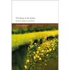 The Essay at the Limits: Poetics, Politics and Form - Paperback