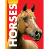 Curious about Horses - Paperback