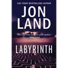 Labyrinth - Paperback
