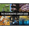 The Regenerative Career Guide - Paperback