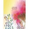 Colour Healing Journal - Paperback
