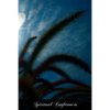 Spiritual Conferences - Paperback