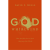 God in the Whirlwind: How the Holy-love of God Reorients Our World - Paperback