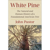 White Pine: The Natural and Human History of a Foundational American Tree - Paperback