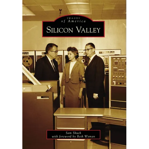 Silicon Valley - Paperback