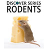 Discover Series Rodents: Discover Series Picture Book for Children - Paperback