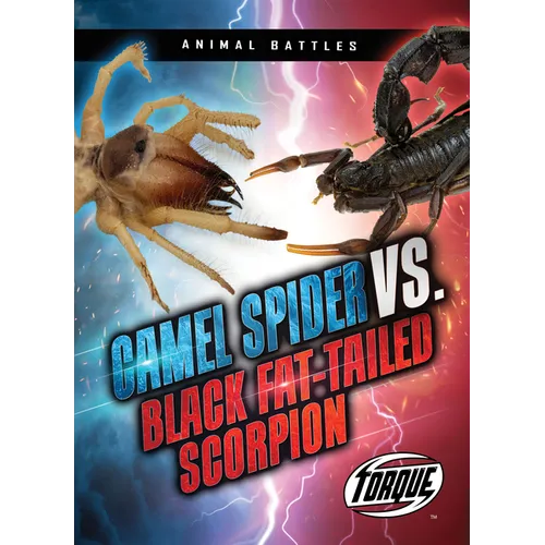 Camel Spider vs. Black Fat-Tailed Scorpion - Paperback