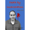 Death by Incarceration: A True Story - Paperback