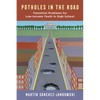 Potholes in the Road: Transition Problems for Low-Income Youth in High School - Hardcover
