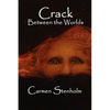 Crack Between the Worlds - Paperback