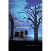 Visitation: The Conjure Work of Black Feminist Avant-Garde Cinema - Hardcover