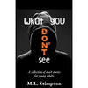 What You Don't See: A Collection of Short Stories for Young Adults - Paperback