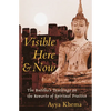 Visible Here and Now: The Buddha's Teachings on the Rewards of Spiritual Practice - Paperback