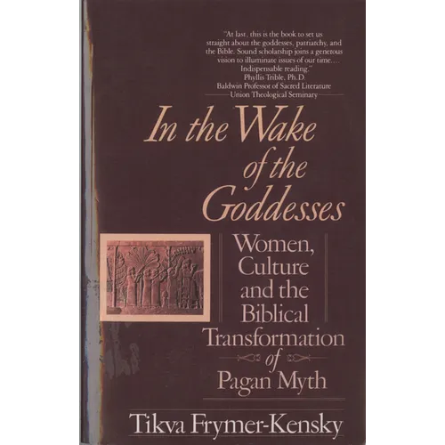 In the Wake of the Goddesses: Women, Culture and the Biblical Transformation of Pagan Myth - Paperback