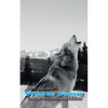 Jack London's White Fang - Enhanced Classroom Edition - Paperback