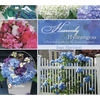 Heavenly Hydrangeas: A Practical Guide for the Home Gardener - Hardcover